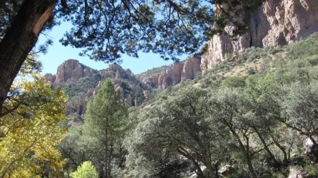 Caballos de los Estrellas