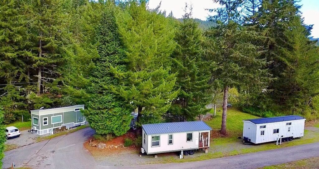 Tiny Tranquility Redwoods