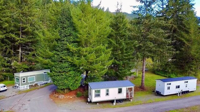 Tiny Tranquility Redwoods